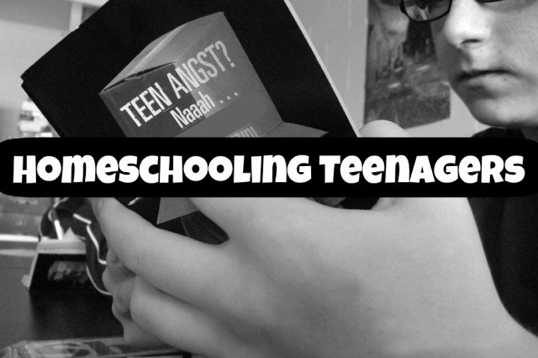 HOMESCHOOLING TEENAGES